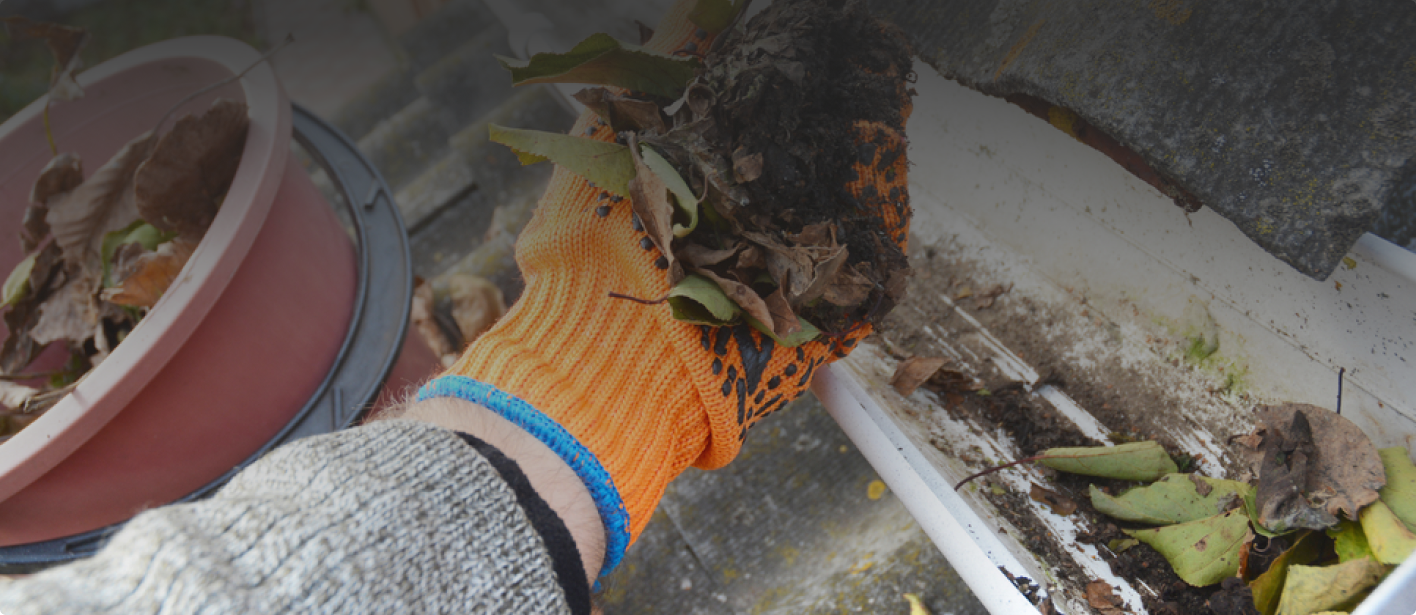 gutter cleaning auckland
